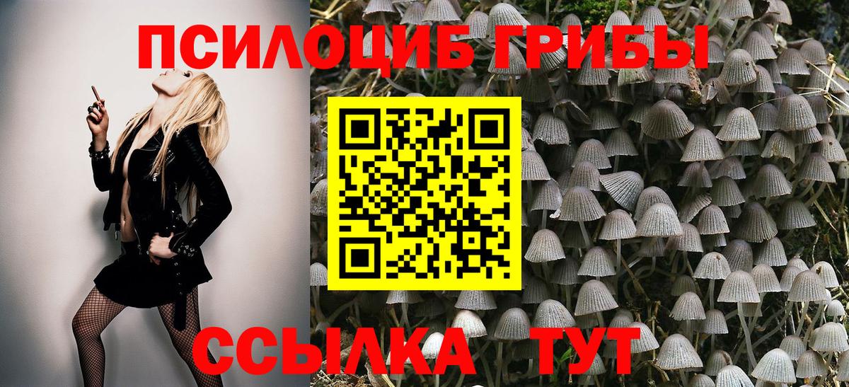 Галлюциногенные грибы прущие грибы  Вход с VPN  Псилоцибиновые грибы мицелий  Верхняя Пышма 